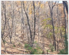  2024Ÿ��84943  �Ӿ߰��