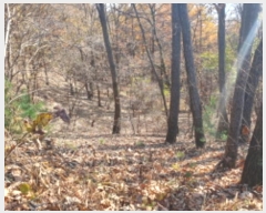  2024Ÿ��84943  �Ӿ߰��