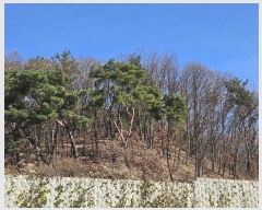  2024Ÿ��85663 ��� �����ֽ� ȣ�� ��62       ����(�Ӿ�)���