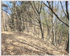  2024Ÿ��85663 ��� �����ֽ� ȣ�� ��62       ����(�Ӿ�)���