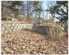  2024Ÿ��85663 ��� �����ֽ� ȣ�� ��62       ����(�Ӿ�)���