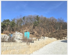  2024Ÿ��85663 ��� �����ֽ� ȣ�� ��62       ����(�Ӿ�)���