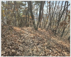  2024Ÿ��85663 ��� �����ֽ� ȣ�� ��62       ����(�Ӿ�)���