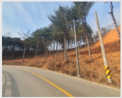  2024Ÿ��86307 ��� ���� ���Ǹ� ��渮 ��62-1      ����(�Ӿ�)���