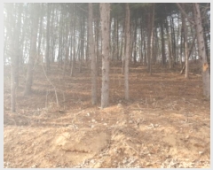  2024Ÿ��86307 ��� ���� ���Ǹ� ��渮 ��62-1      ����(�Ӿ�)���