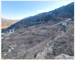  2024Ÿ��86642 ��� ���� û��� �뼺�� ��56      ����(�Ӿ�)���