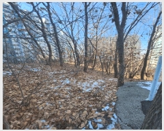  2024Ÿ��87713 ��� �����ֽ� ������ ������ 301-32      ���ð��