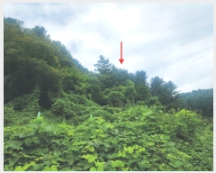  2024Ÿ4305  (󰡽ü)