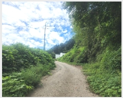  2024Ÿ4305  (󰡽ü)