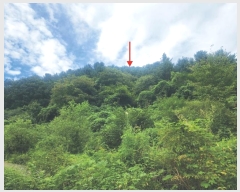  2024Ÿ4305  (󰡽ü)