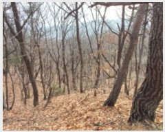  2024Ÿ5742  ֽ  ۴ɸ 11-1      (Ӿ)