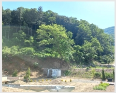  2024Ÿ75949   Ǹ ̻縮 64-90      (Ӿ)