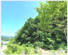  2024Ÿ75949   Ǹ ̻縮 64-90      (Ӿ)