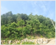  2024Ÿ75949   Ǹ ̻縮 64-90      (Ӿ)