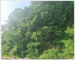  2024Ÿ75949   Ǹ ̻縮 64-90      (Ӿ)