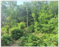  2024Ÿ75949   Ǹ ̻縮 64-90      (Ӿ)