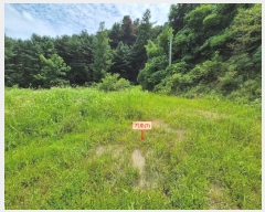  2024Ÿ79620     168      (1)