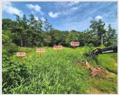  2024Ÿ79620     168      (1)