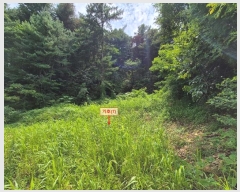  2024Ÿ79620     168      (1)