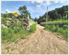  2024Ÿ79620     168      (1)