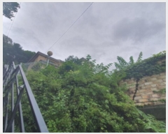  2024Ÿ��79910 ��� �����ֽ� ������ ���渮 366-17      ���ð��