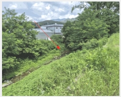  2024Ÿ80729  ֽ  ݰ 807-1      ()