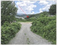  2024Ÿ80729  ֽ  ݰ 807-1      ()