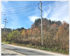  2024Ÿ��85694  �Ӿ߰��