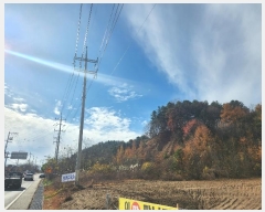  2024Ÿ��85694  �Ӿ߰��