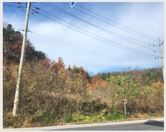  2024Ÿ��85694  �Ӿ߰��