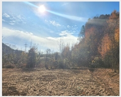  2024Ÿ��85694  �Ӿ߰��