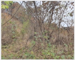  2024Ÿ��85694  �Ӿ߰��