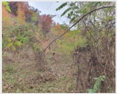  2024Ÿ��85694  �Ӿ߰��