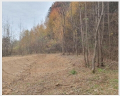  2024Ÿ��85694  �Ӿ߰��