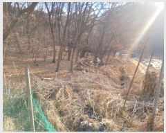  2024Ÿ87218  ֽ  ۴ɸ 71-4      (Ӿ)