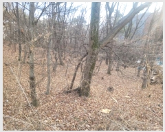  2024Ÿ87218  ֽ  ۴ɸ 71-4      (Ӿ)