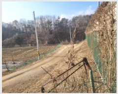  2024Ÿ87218  ֽ  ۴ɸ 71-4      (Ӿ)