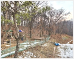  2024Ÿ87218  ֽ  ۴ɸ 71-4      (Ӿ)