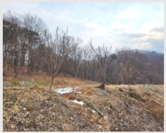  2024Ÿ87218  ֽ  ۴ɸ 71-4      (Ӿ)