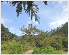  2024Ÿ4787   û ȣ 55-1      (Ӿ)