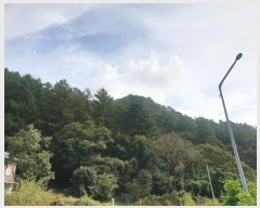  2024Ÿ4787   û ȣ 55-1      (Ӿ)