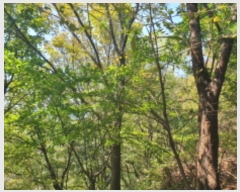  2024Ÿ4787   û ȣ 55-1      (Ӿ)