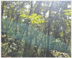  2024Ÿ4787   û ȣ 55-1      (Ӿ)