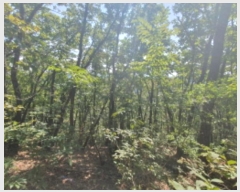  2024Ÿ4787   û ȣ 55-1      (Ӿ)