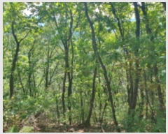  2024Ÿ4787   û ȣ 55-1      (Ӿ)