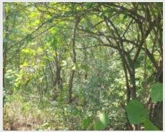  2024Ÿ4787   û ȣ 55-1      (Ӿ)