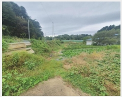  2024Ÿ��5179  ����