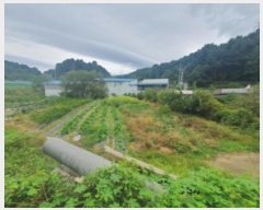  2024Ÿ��5179  ����