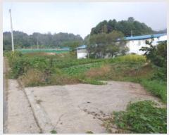  2024Ÿ��5179  ����