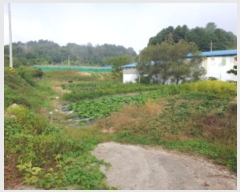  2024Ÿ��5179  ����